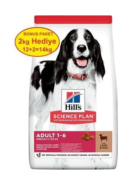 Medium Adult Kuzu Etli Yetişkin Köpek Maması 12+2kg Bonus(STT:07/2025)
