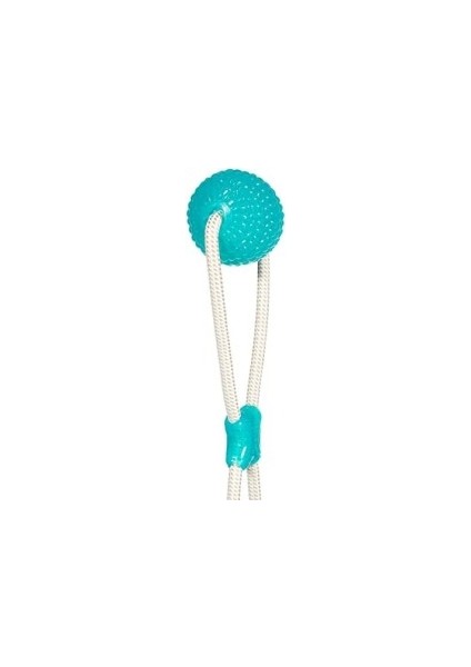 Dog Suction Ball