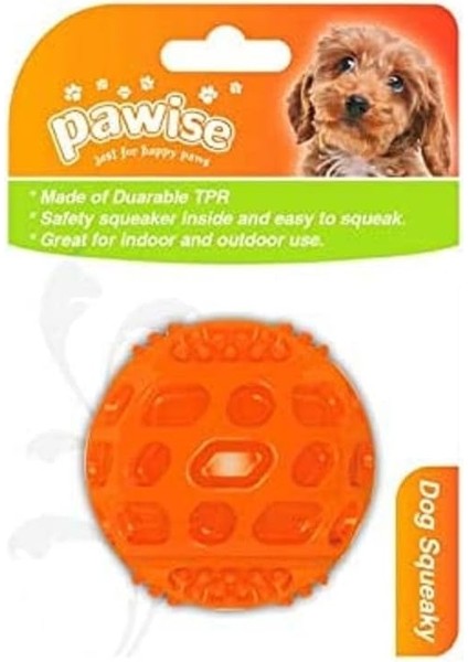 Dikenli Sesli Köpek Oyun Topu 5.5 cm fiyatları