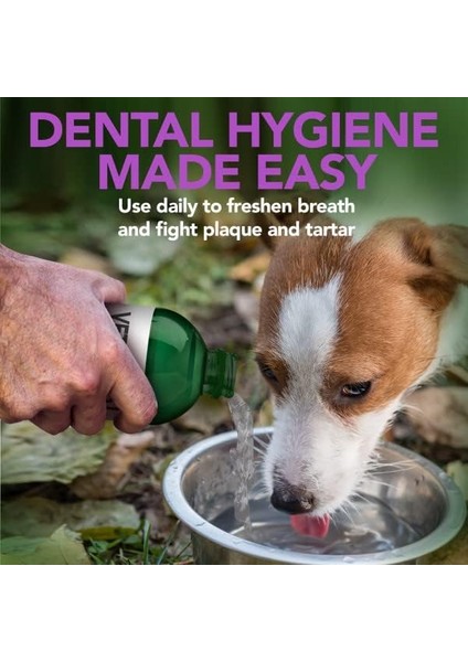 Köpekler İçin Ağız Bakım Suyu 500 ml fırsatları
