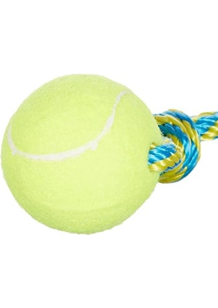 Tennis Bouncer Toss Köpek Oyuncağı