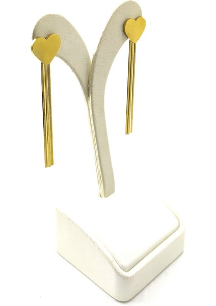 Kadın Sallantı Çelik Küpe