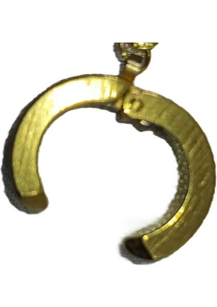 Kadın Sallantı Çelik Küpe fiyatları