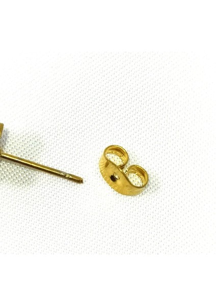 Kadın Sallantı Çelik Küpe fiyatları