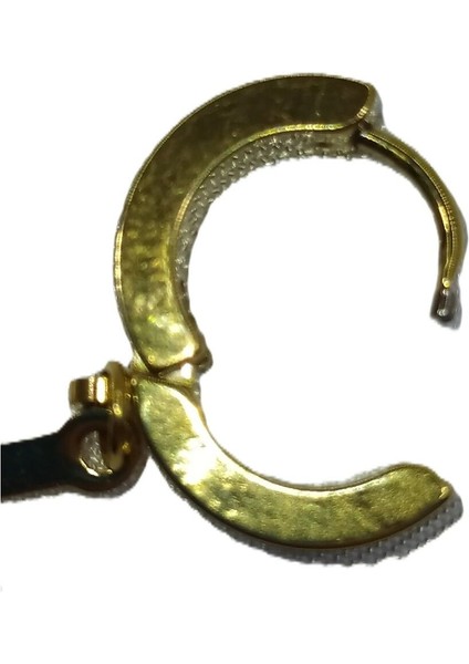 Kadın Sallantı Çelik Küpe fiyatları