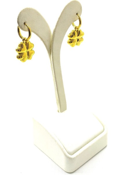 Kadın Sallantı Çelik Küpe