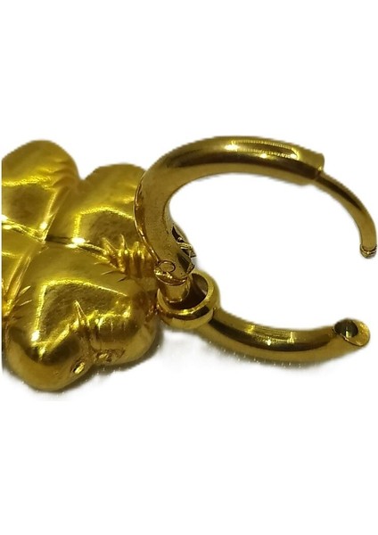 Kadın Sallantı Çelik Küpe fiyatları