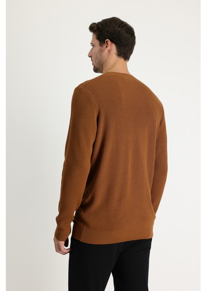 Bisiklet Yaka Slim Fit Dar Kesim Desenli Pamuklu Triko Kazak modelleri