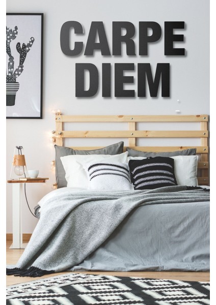 Ahşap Siyah Carpe Dıem Yazılı Duvar Dekoru Salon Oturma Yatak Odası Için Lazer Kesim Mdf Tablo modelleri