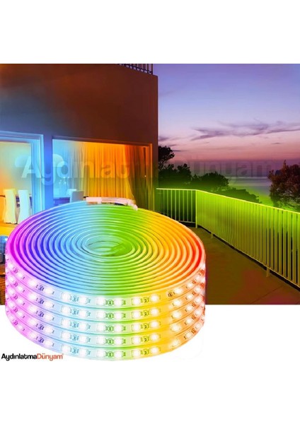 CT-4548 Dış Mekan Hortum LED Rgb 220V