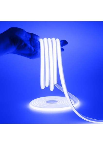 CT-4455 12V Neon LED Hortum Mavi Işık 50MT