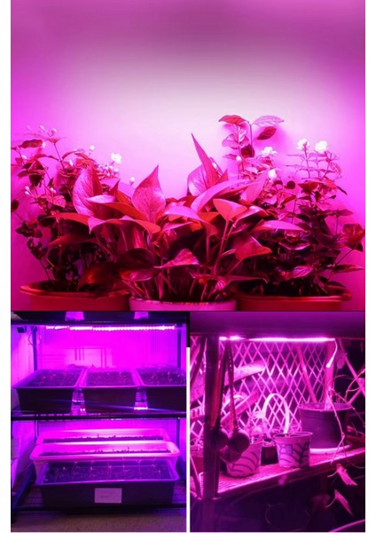 Alüminyum Kasalı Çubuk Bar LED 12V 72 Ledli 5730 Opak Cam Grow LED Full Spectrum Bitki Yetiştirme Ledi