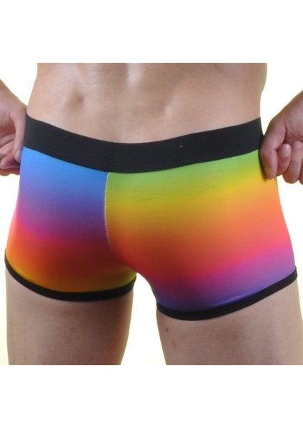 Mulvxbrf BRF02 Renkli Erkek Boxer (Mulvix)