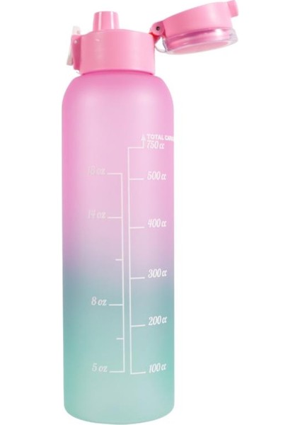 161407-844 Askılı Desenli Opak Desenli Matara 750 ml fırsatları