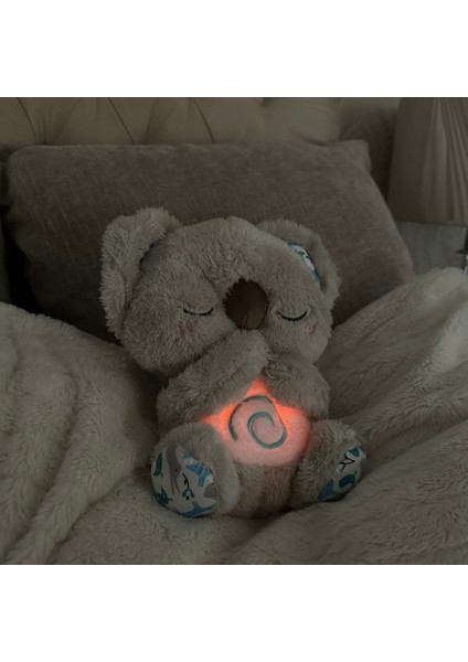 Nefes Alan Koala