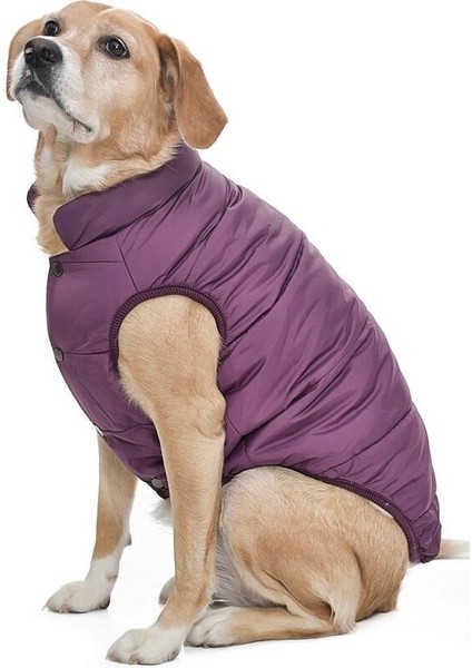 Orta Irk Köpek Montu - Magor