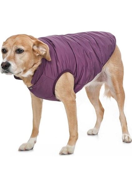 Orta Irk Köpek Montu - Magor