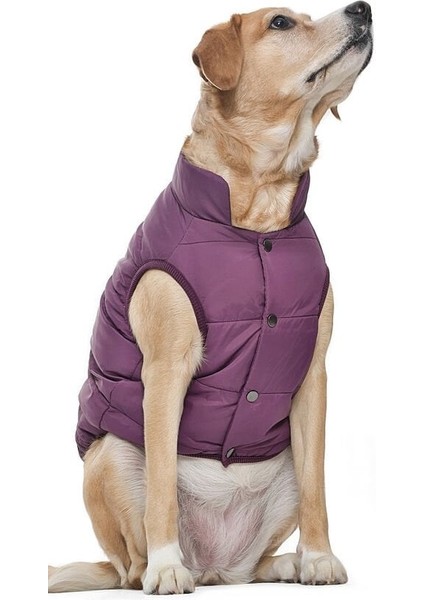 Orta Irk Köpek Montu - Magor