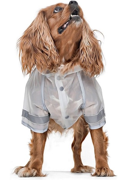 Köpek Küçük ve Orta Irk Yağmurluk Crocodile fırsatları