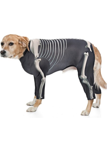 Orta ve Büyük Irk Köpek Tulum - Skeleton