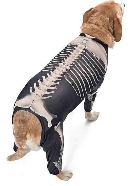 Orta ve Büyük Irk Köpek Tulum - Skeleton