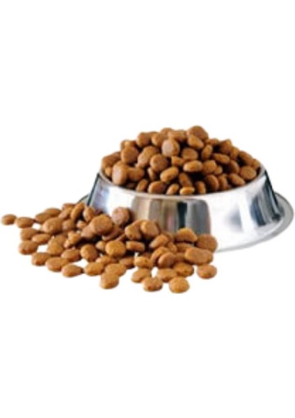 Loi Hıpoalerjenık Yetışkın Açık Kedı Maması Somonlu 1kg