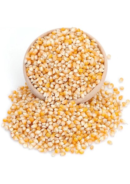 Nazilli Patlayan Cin Mısır İri Boy 500 gr +500 gr fiyatları