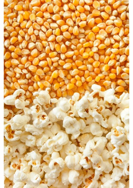 Nazilli Patlayan Cin Mısır İri Boy 500 gr +500 gr modelleri