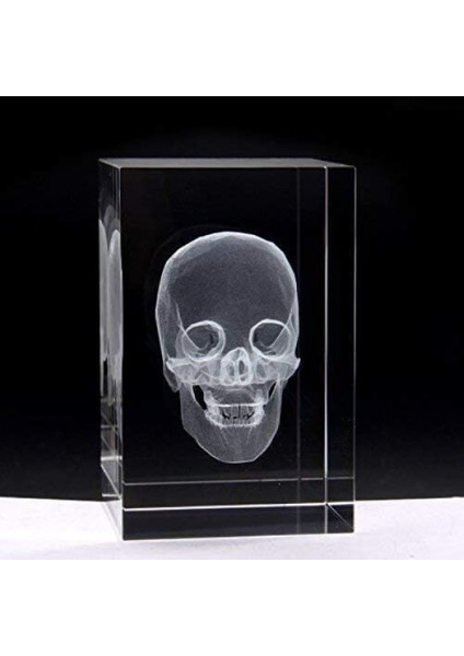 3D Kristal Kafatası Modeli