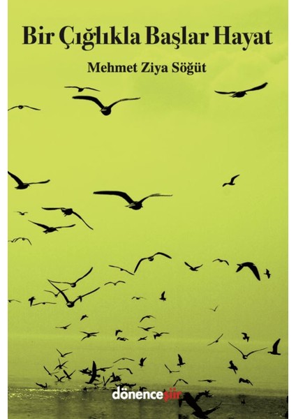 Bir Çığlıkla Başlar Hayat - Mehmet Ziya Söğüt