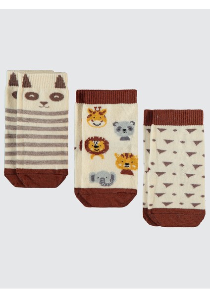 Erkek Bebek 3'lü Çorap Set 6-18 Ay Kahverengi