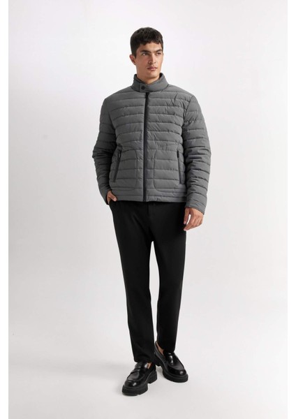 Slim Fit Dar Kesim Dik Yaka Fermuarlı Mont D7497AX25SP
