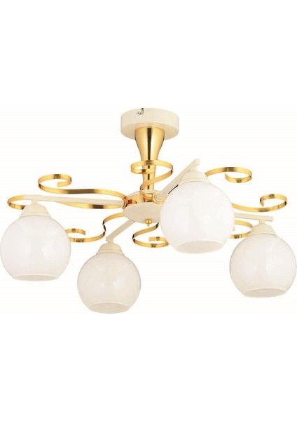 Papatya 4'lü Gold Modern Avize