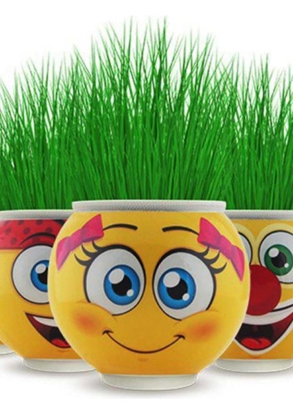 Emoji Çim Adam 5 Adet