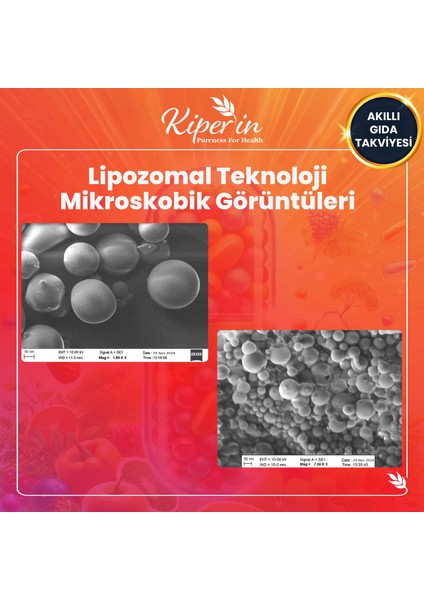 Lipozomal Multivitamin 13 Vitamin & 6 Mineral Cilt - Saç - Tırnak & Enerji | Akıllı Gıda Takviyesi