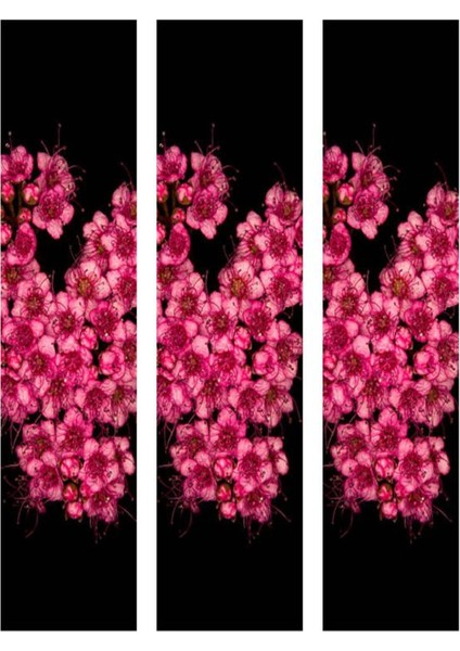 Videolu 3 Adet Pembe Ispirya Çiçeği Fidanı 40-60 cm Saksılı Çiçekli Bodur Spiraea Vanhouttei