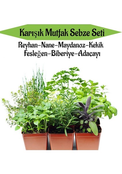 Mutfak Sebze Seti Reyhan Nane Kekik Fesleğen Biberiye Adaçayı Fidesi Toplam 6 Adet