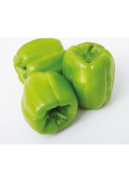 Dolmalık Biber Tohumu 20 Adet Tohum