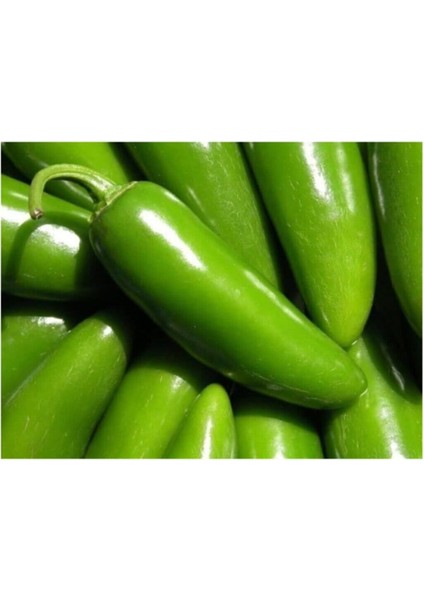 Eko Paket 50 Adet Tohum Nadir İthal Acı Jalapeno Meksika Biberi Tohumu
