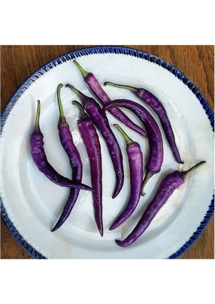 Hafif Acı Sivri Mor Biber Tohumu 10 Adet Tohum