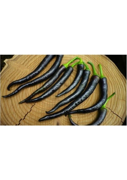 Hafif Acı Sivri Mor Biber Tohumu 10 Adet Tohum fırsatları