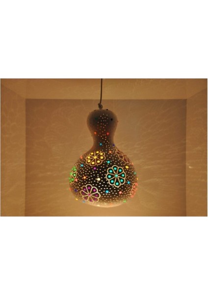 Nadir Su Kabağı Tohumu 3 Adet Tohum Süs Kabağı Tohumu modelleri