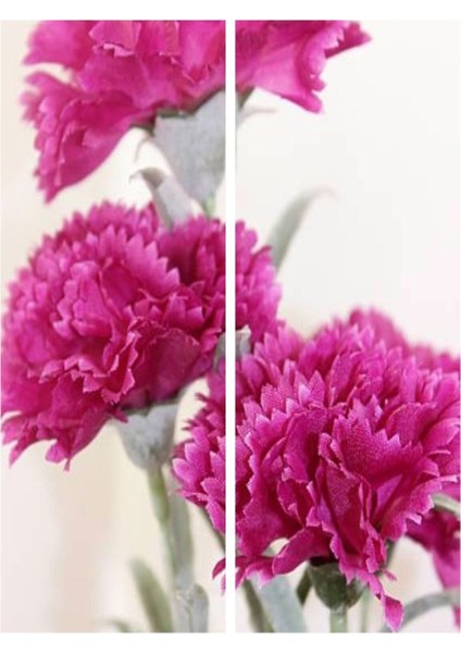 Videolu Kokulu Pembe Renk Karanfil Çiçeği Fidanı 15-30 cm Tüplü Dış Mekan Ağaçlar Pink Carnation