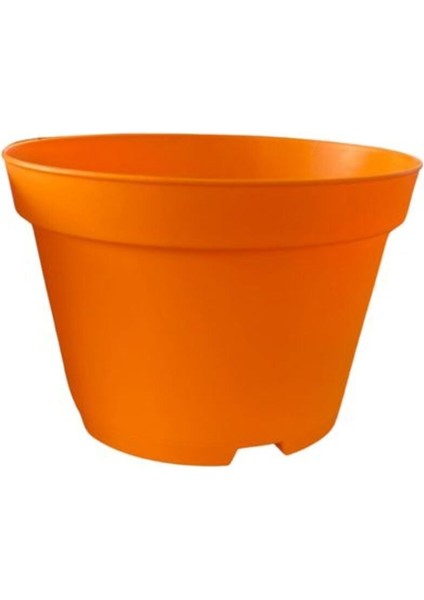 Katı Plastik Sukulent Saksısı 20 Adet Turuncu (8.5 cm)