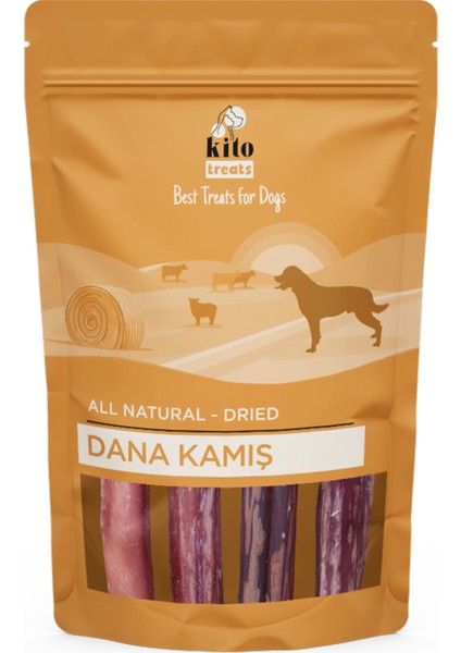 Dana Kamış Çiğnemelik Köpek Ödül Maması %100 Doğal, Glutensiz, Organik 100 gr