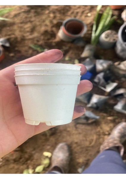 Katı Plastik Sukulent Saksısı 10 Adet Beyaz (5.5 cm)