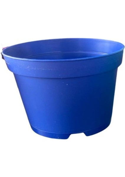 Katı Plastik Sukulent Saksısı 15 Adet Mavi (8.5 cm)