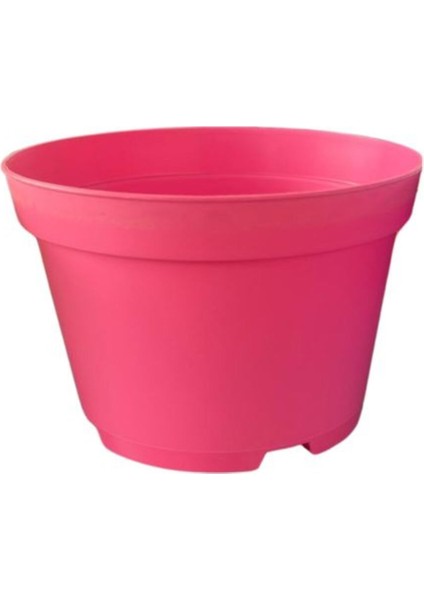 Katı Plastik Sukulent Saksısı 10 Adet Pembe (8.5 cm)