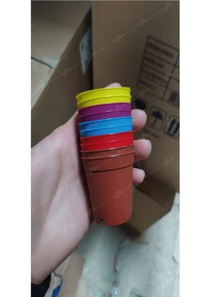 Katı Plastik Sukulent Saksısı 10 Adet Turuncu (5.5 cm)