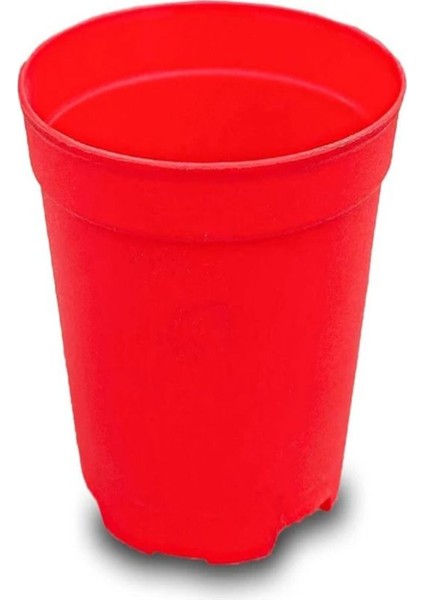 Katı Plastik Sukulent Saksısı 5 Adet Kırmızı (5.5 cm)